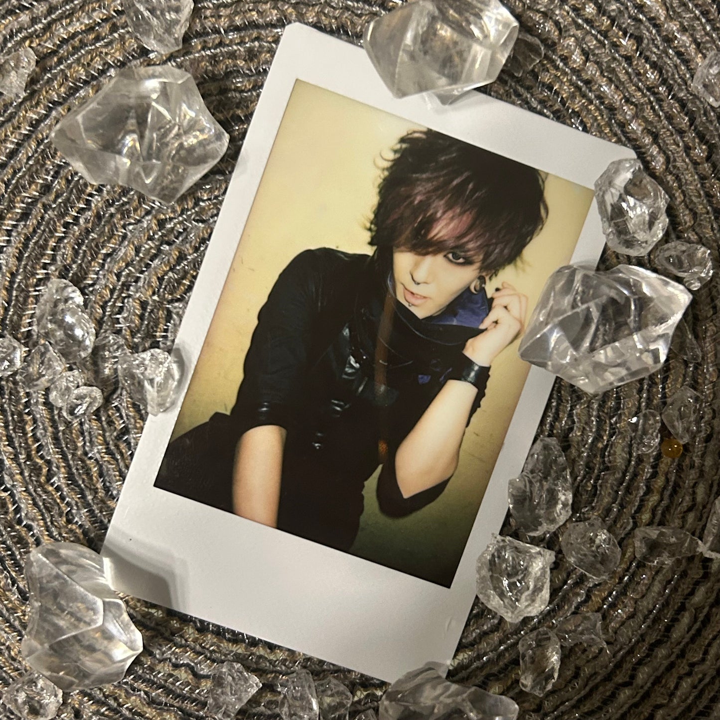 Arlequin Tamon Cheki ❀