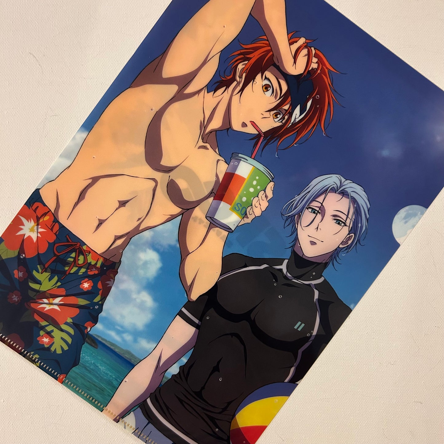 Sk8 the Infinity Langa & Reki Clear File