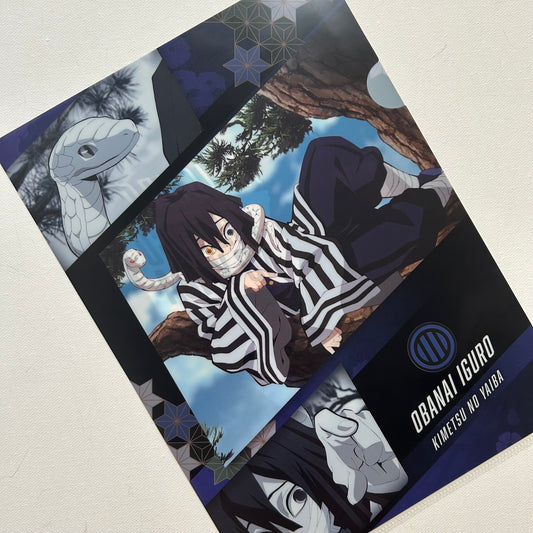 Demon Slayer Obanai Iguro Clear File