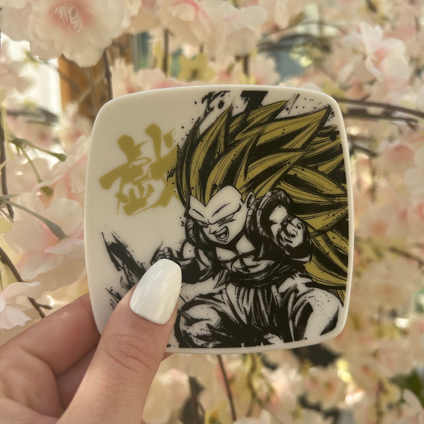 Dragon Ball Plate