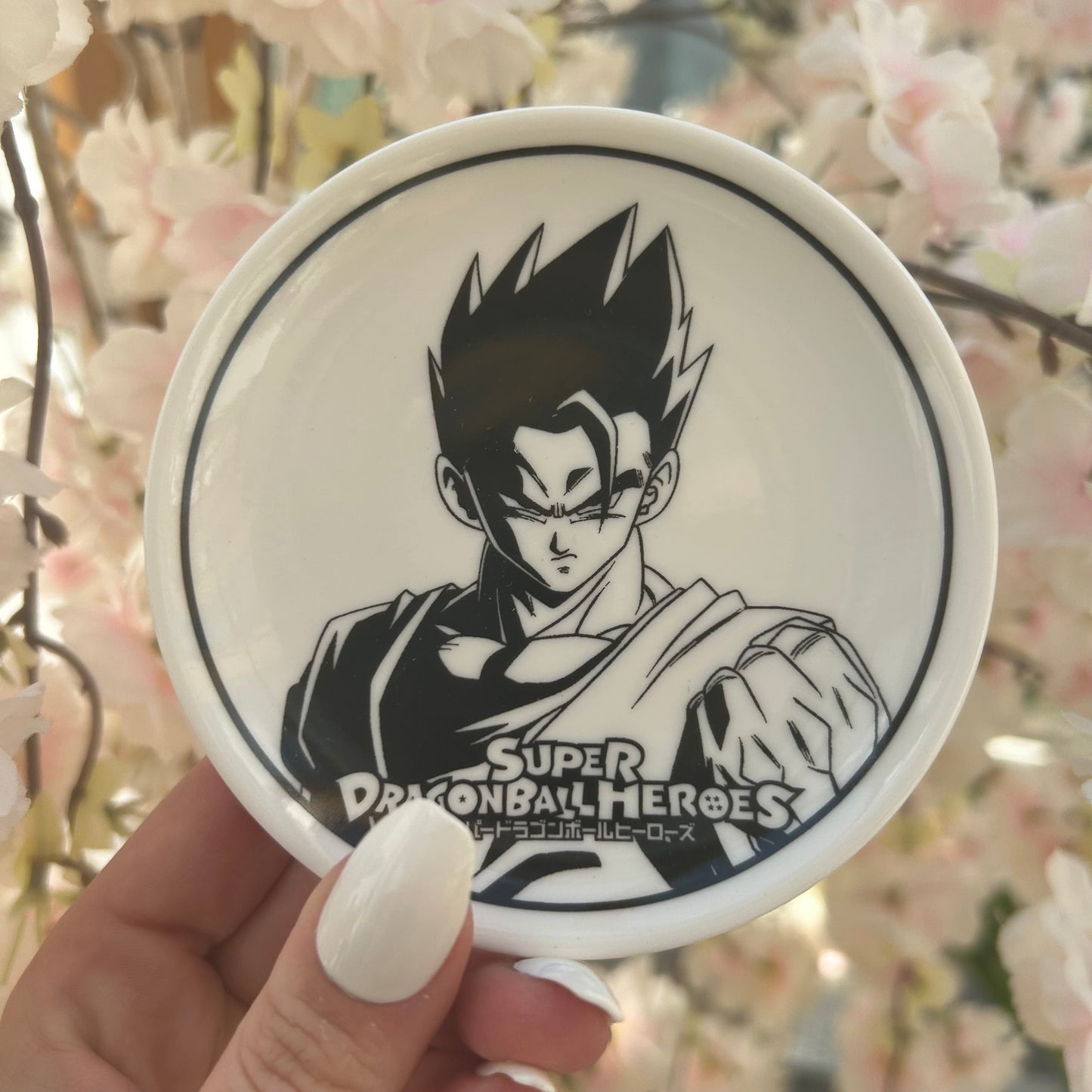 Dragon Ball Plate