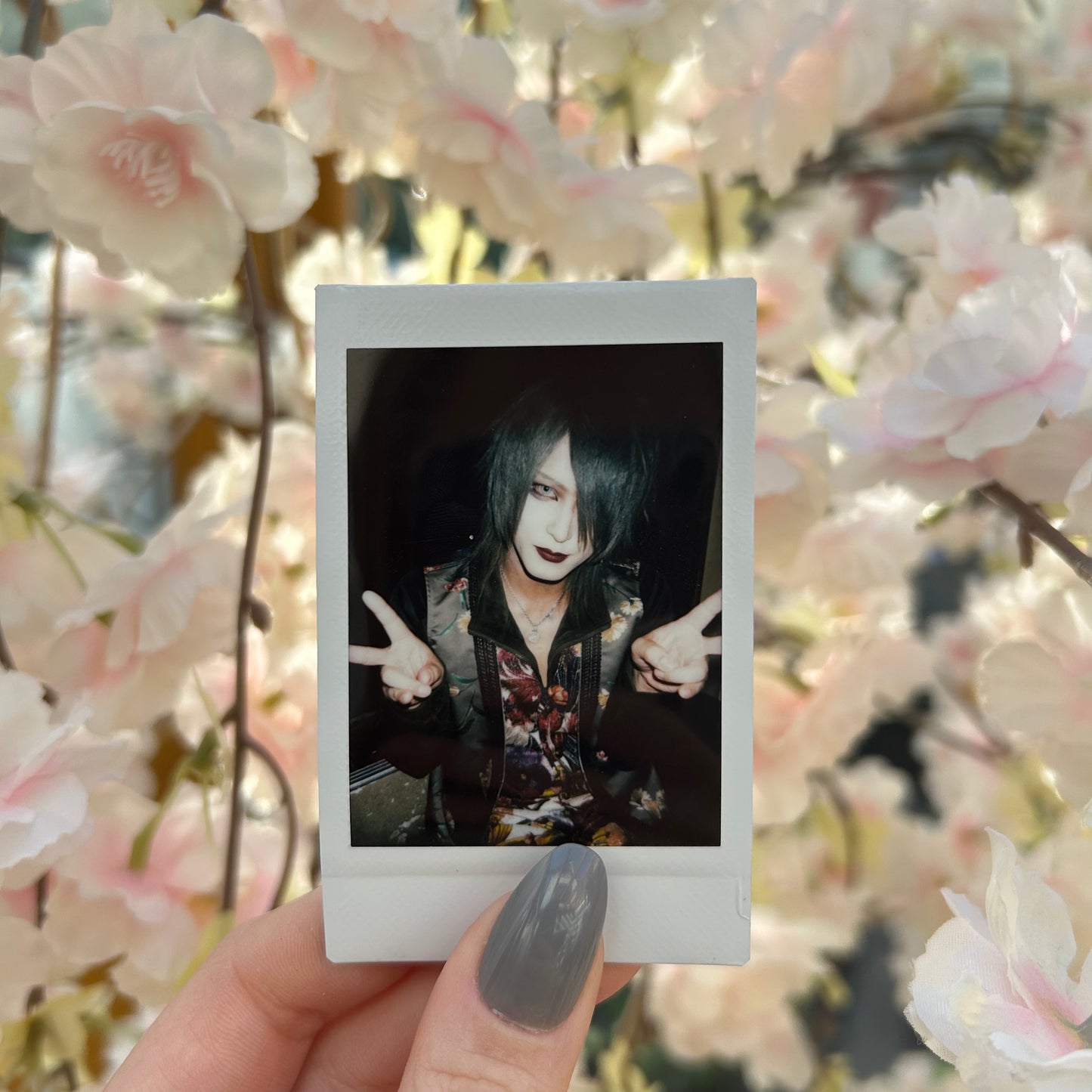 VIRGE Shizuki Cheki ❀