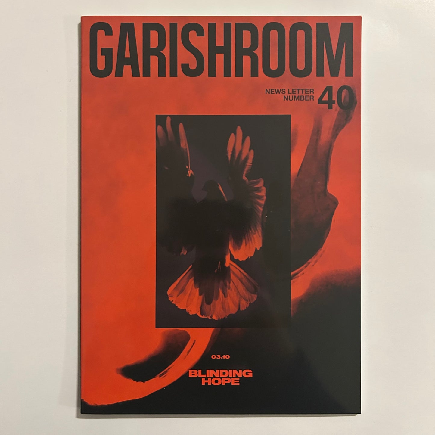The GazettE Garish Room 40 ❀