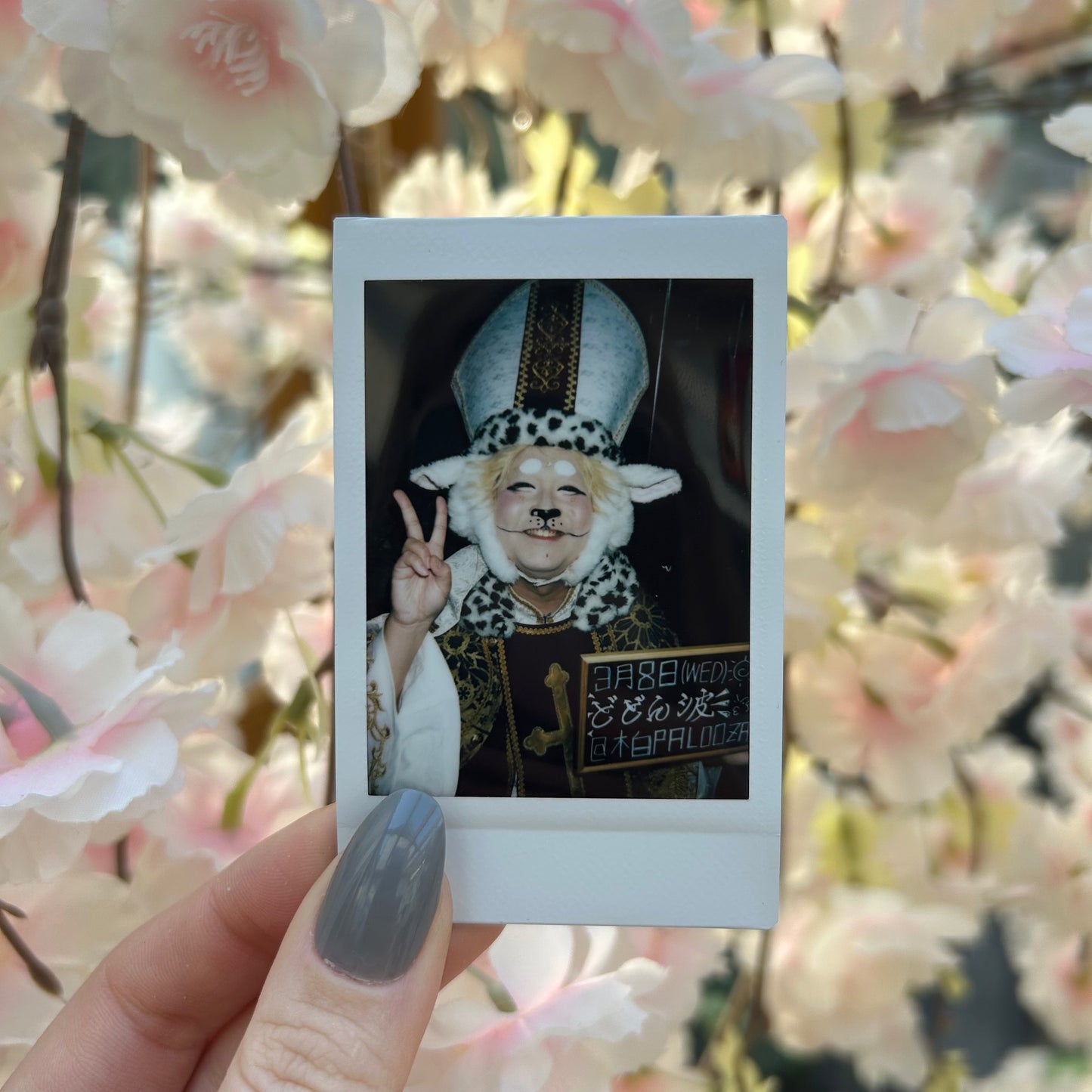 BabyKingdom Monyo Cheki ❀