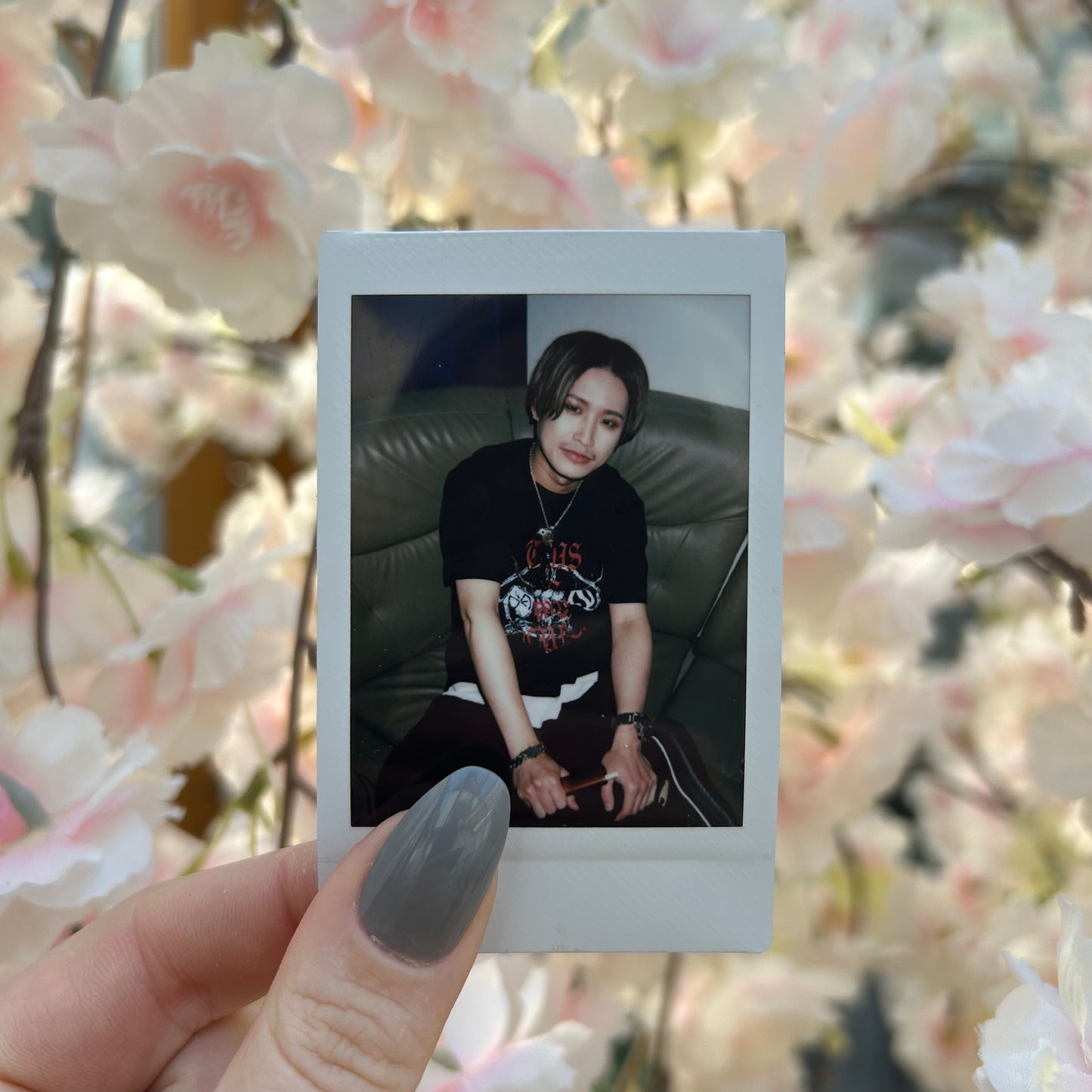 Diaura Shoya Cheki ❀