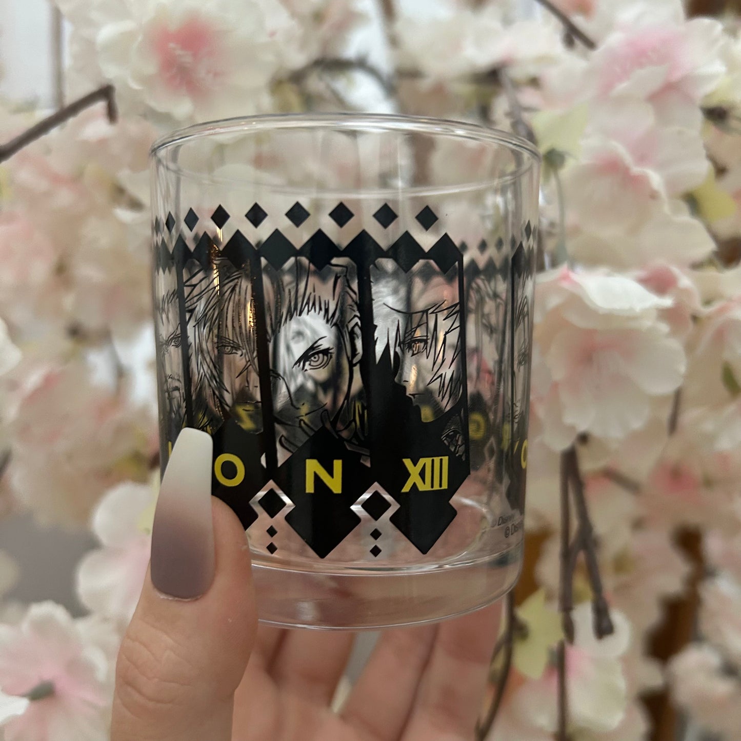 Kingdom Hearts Glass