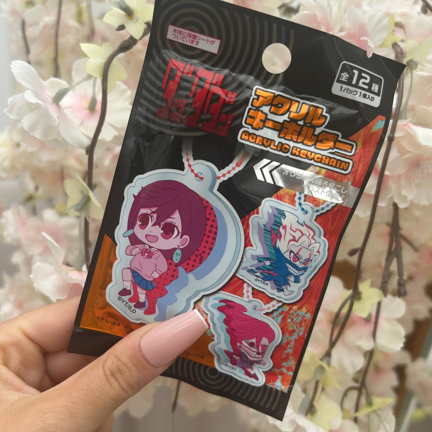 DanDaDan Mystery Acrylic Charm Pack
