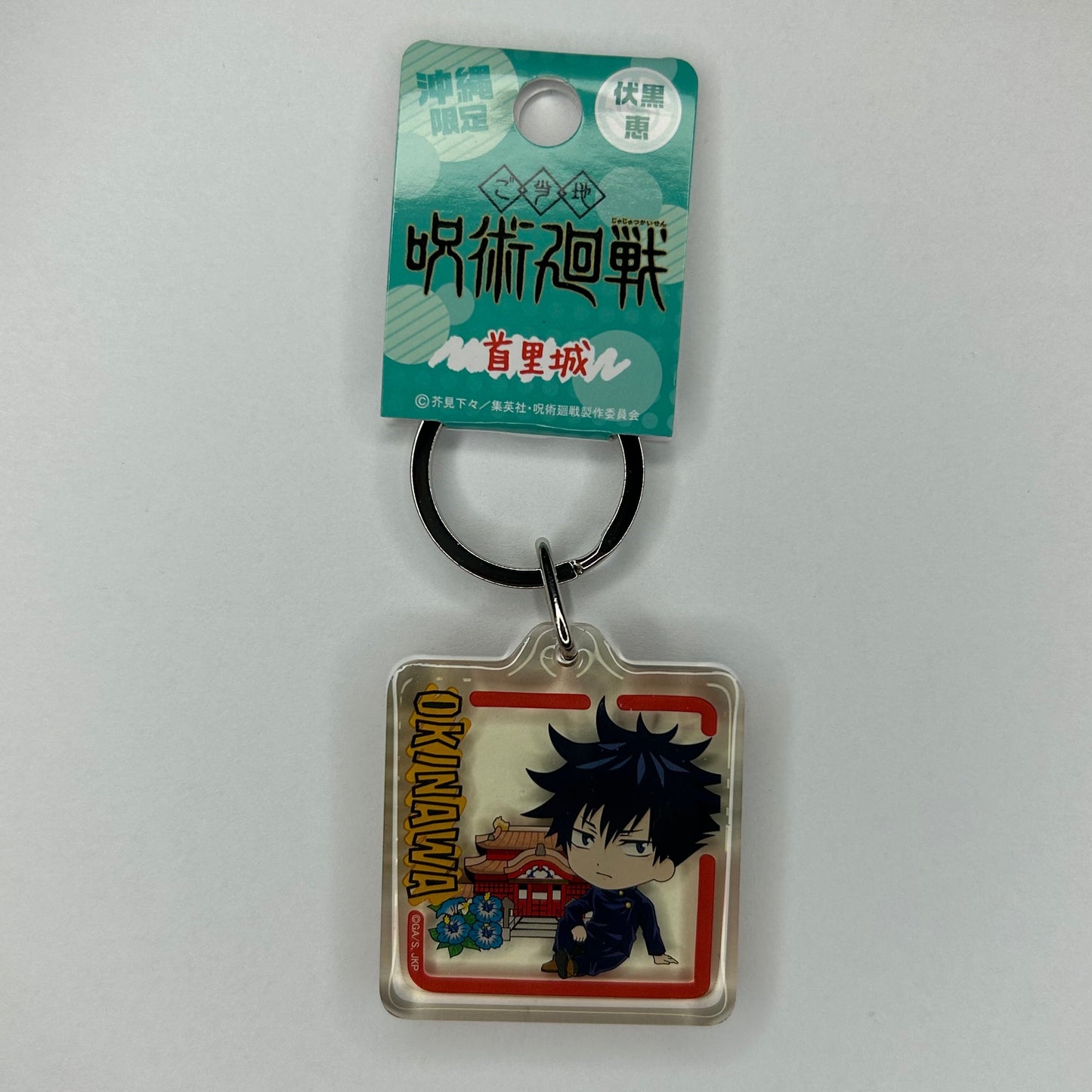 Jujutsu Kaisen Megumi Acryl Anhänger