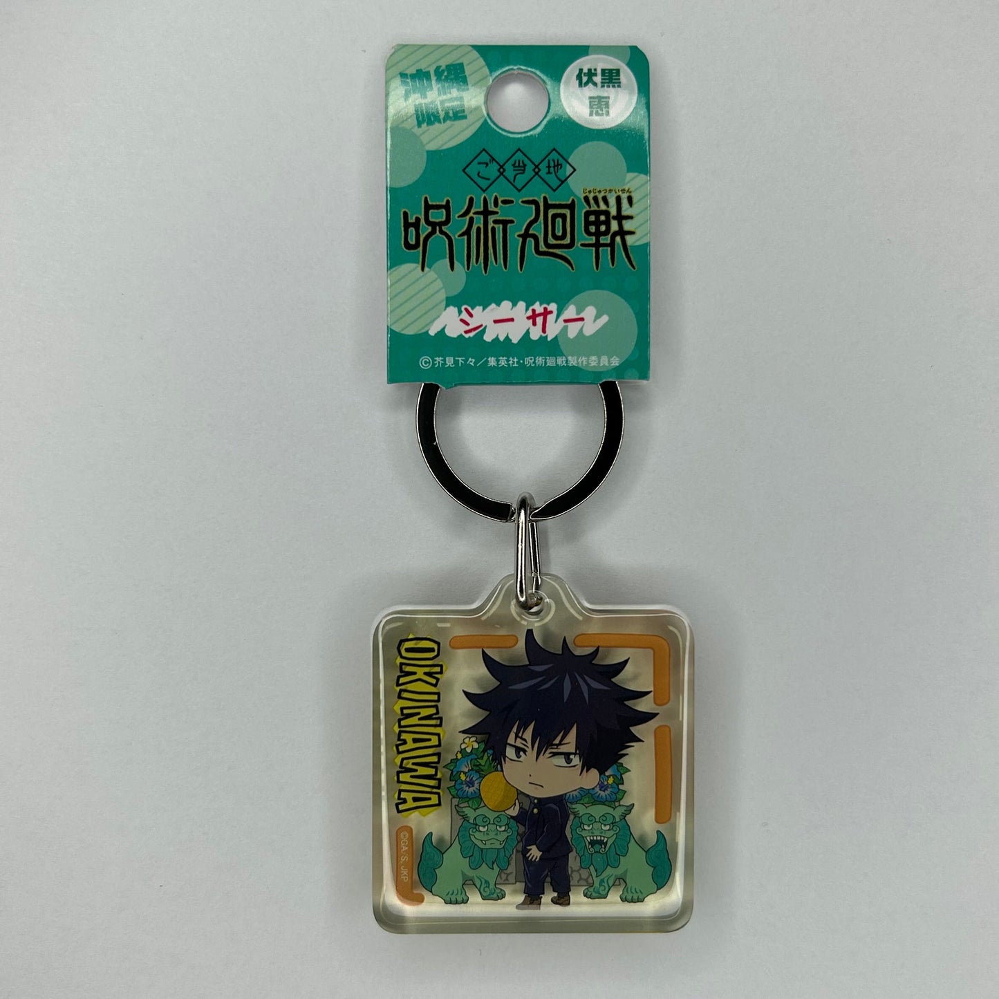 Jujutsu Kaisen Megumi Acryl Anhänger