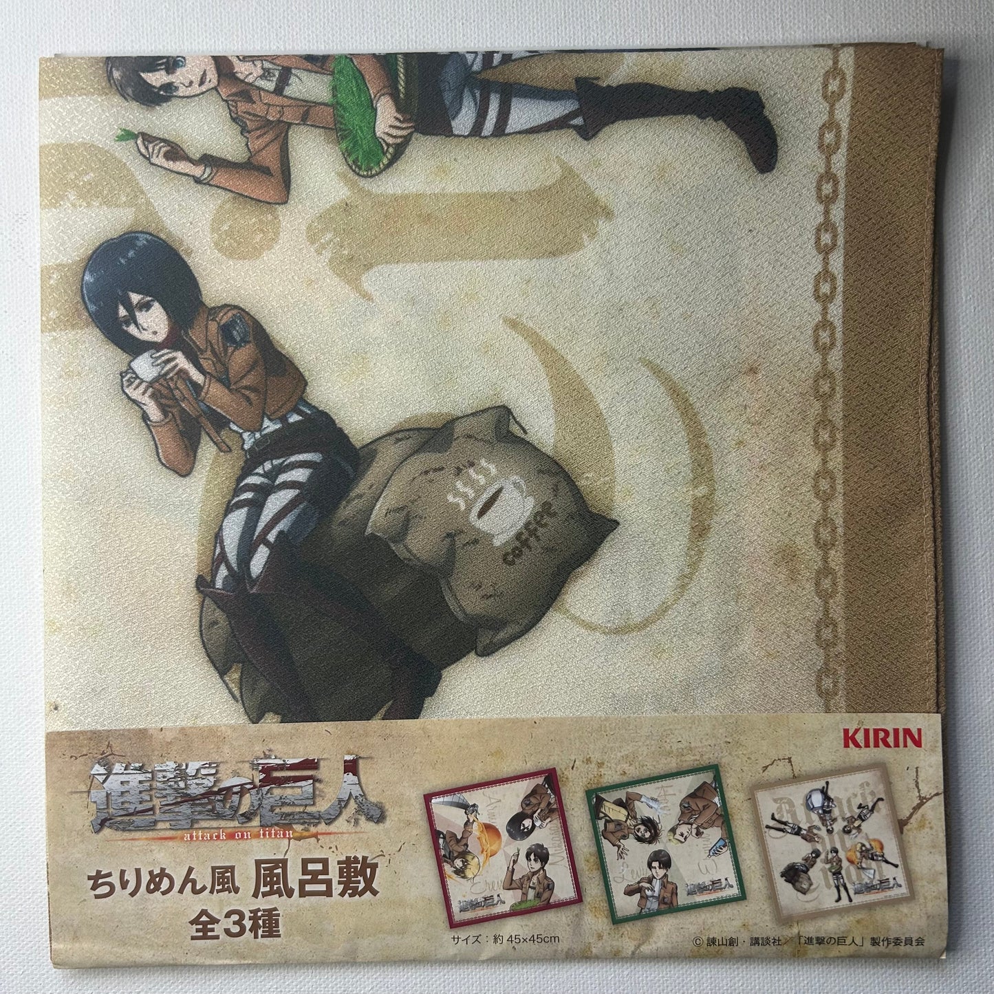 Attack on Titan Banner