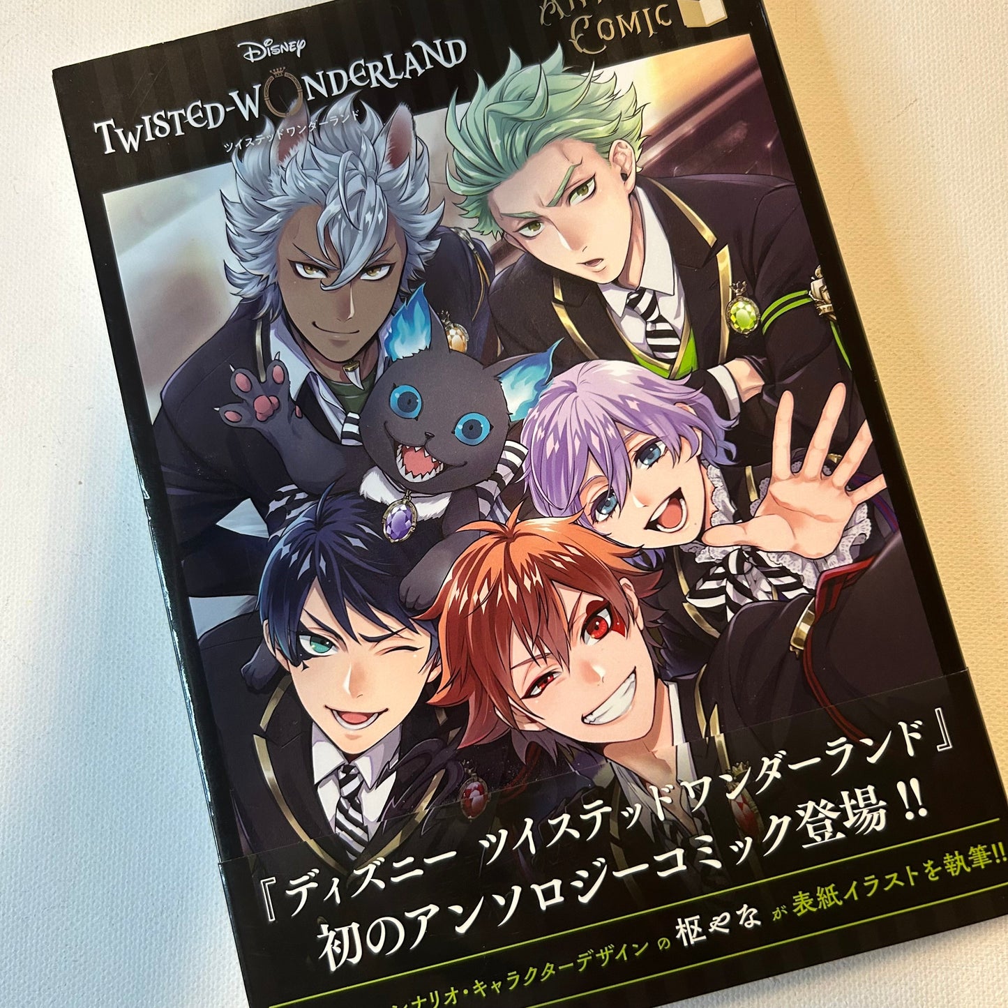 Twisted Wonderland Anthology Manga Japanese Vol. 1