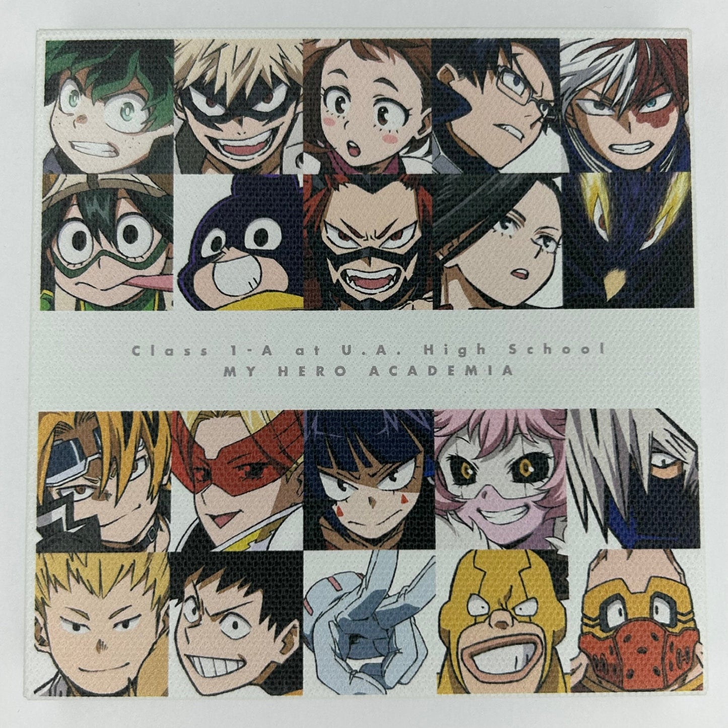 My Hero Academia Character Canvas