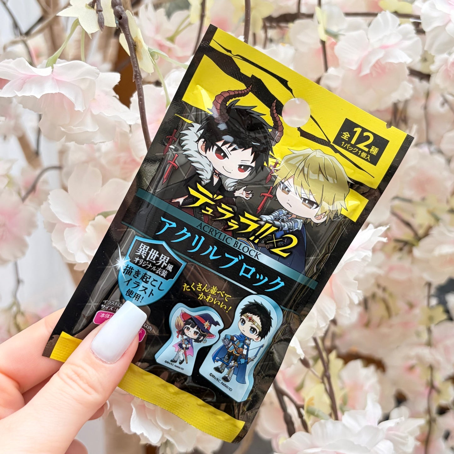 Durarara!! Acrylic Block Mystery Pack