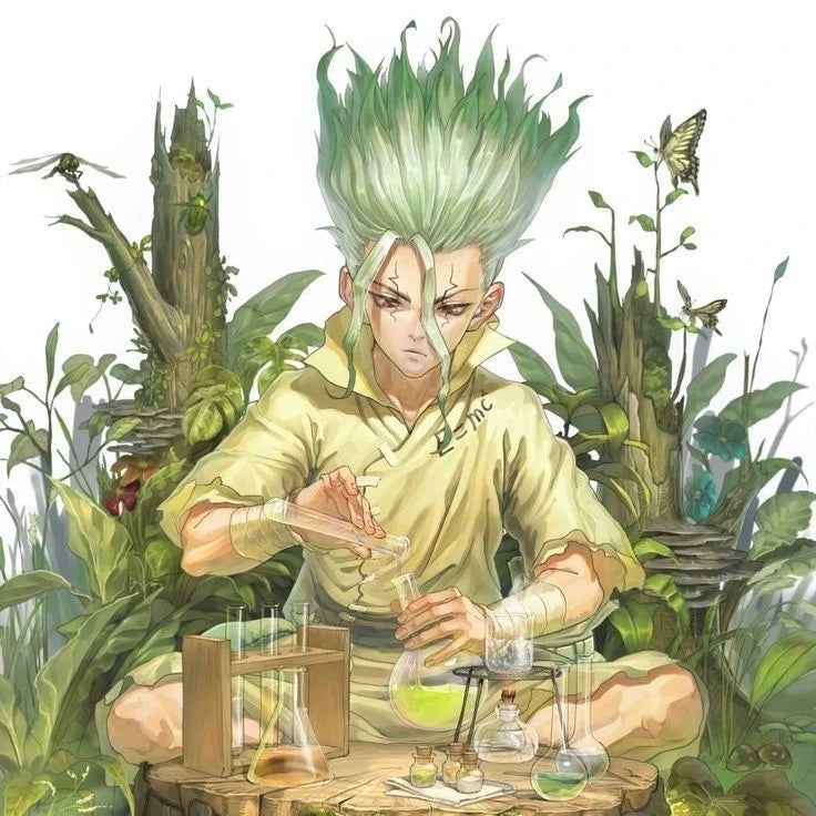 Dr. Stone