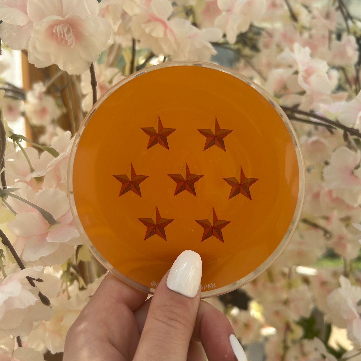 Dragon Ball Glas Teller