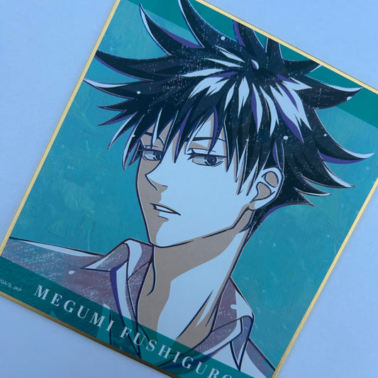 Jujutsu Kaisen Megumi Shikishi