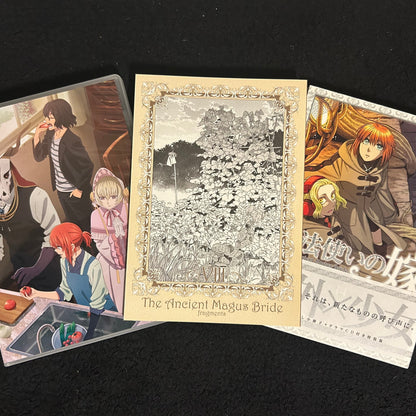 The Ancient Magus' Bride Volume 14 Special Edition