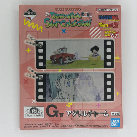 Dragon Ball Mystery Acryl Anhänger