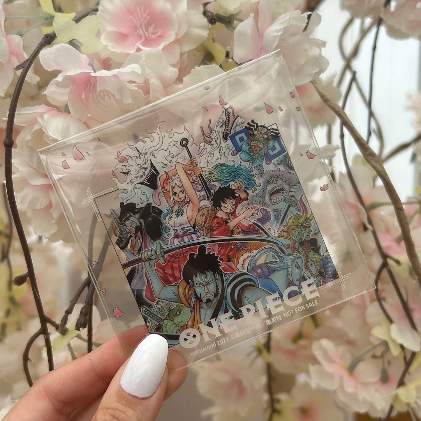 One Piece Untersetzer