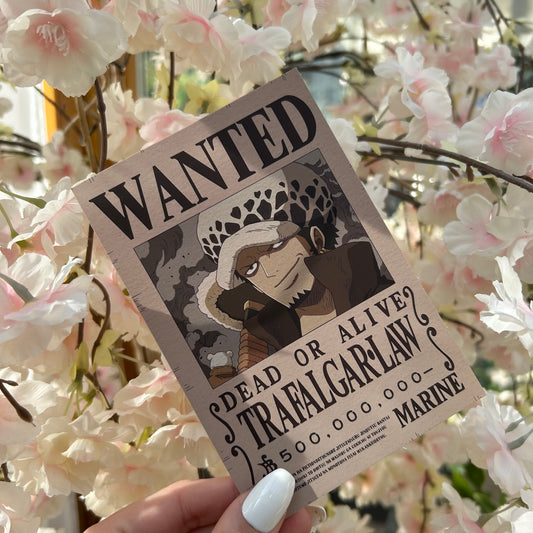 One Piece Law Postkarte