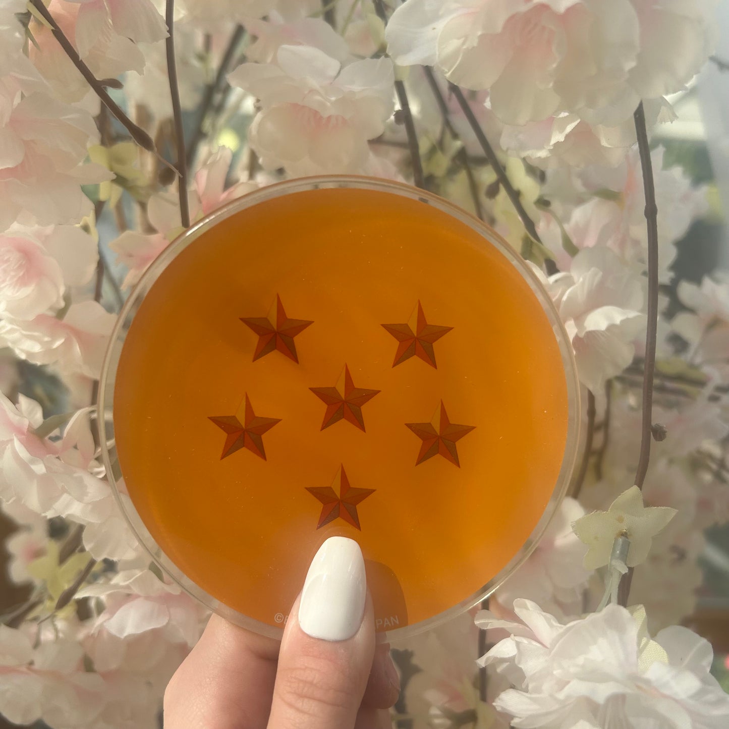 Dragon Ball Glas Teller