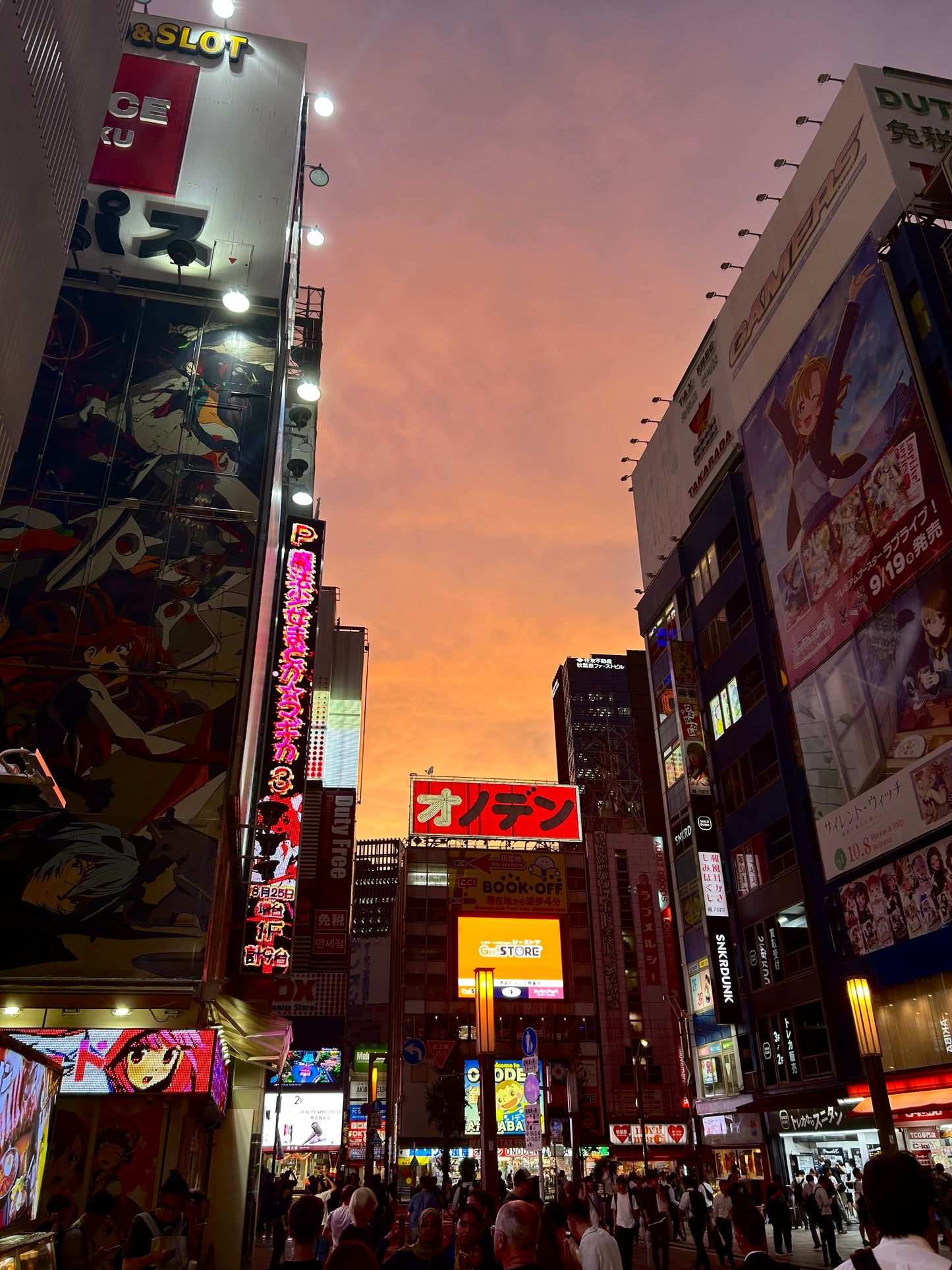 Special Bundle Japan ❀