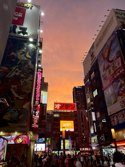 Special Bundle Japan ❀