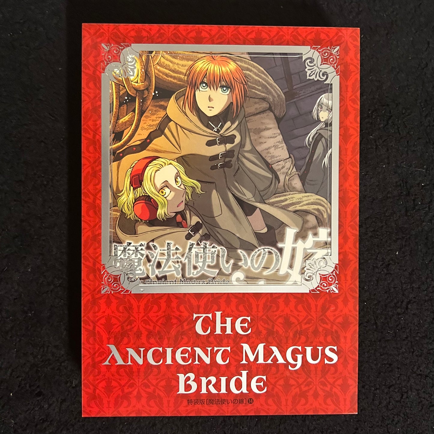 Die Braut des Magiers Band 14 Special Edition