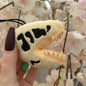Dino Fossil Plüsch Anhänger