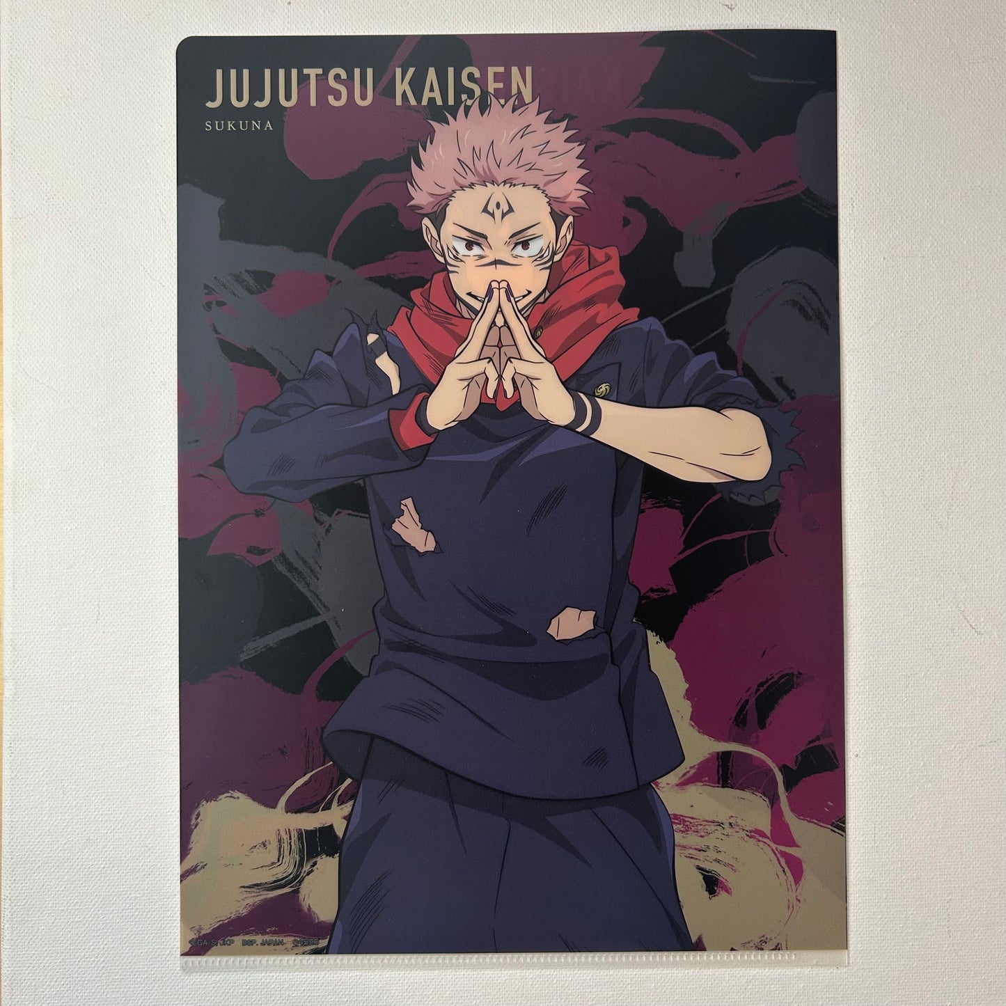Jujutsu Kaisen Megumi / Sukuna Clear File
