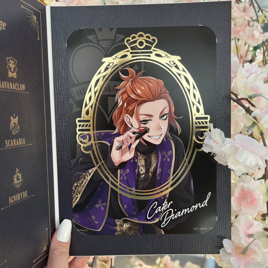 Twisted Wonderland Cater Diamond Deluxe Art Display