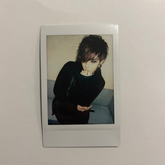 Arlequin Tamon Cheki ❀