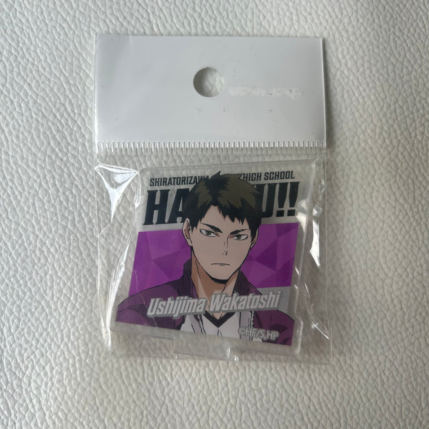 Haikyu! Wakatoshi Ushijima Acryl Ständer