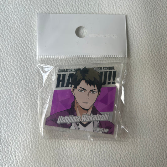 Haikyu! Wakatoshi Ushijima Acryl Ständer