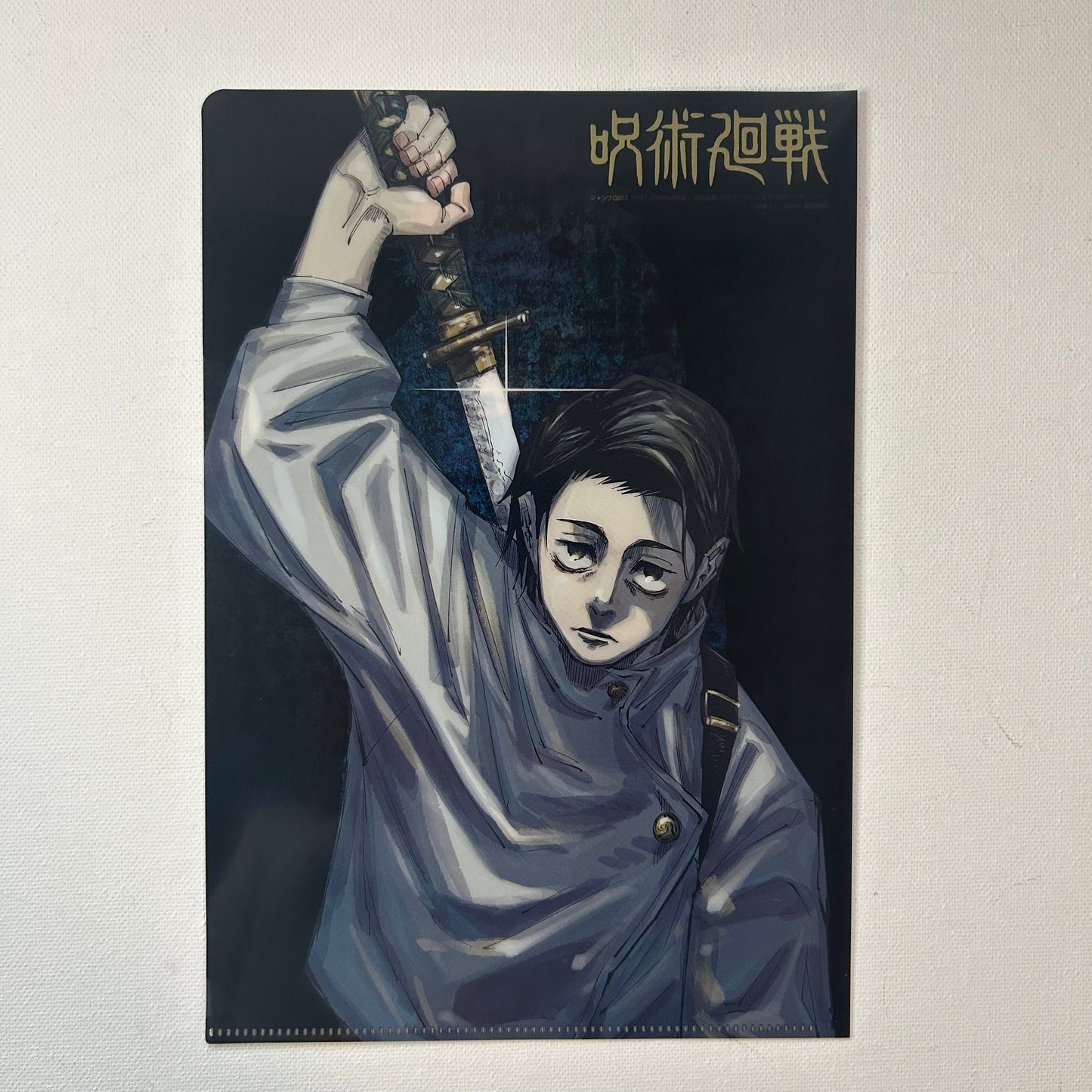 Jujutsu Kaisen Yuji / Yuta Clear File