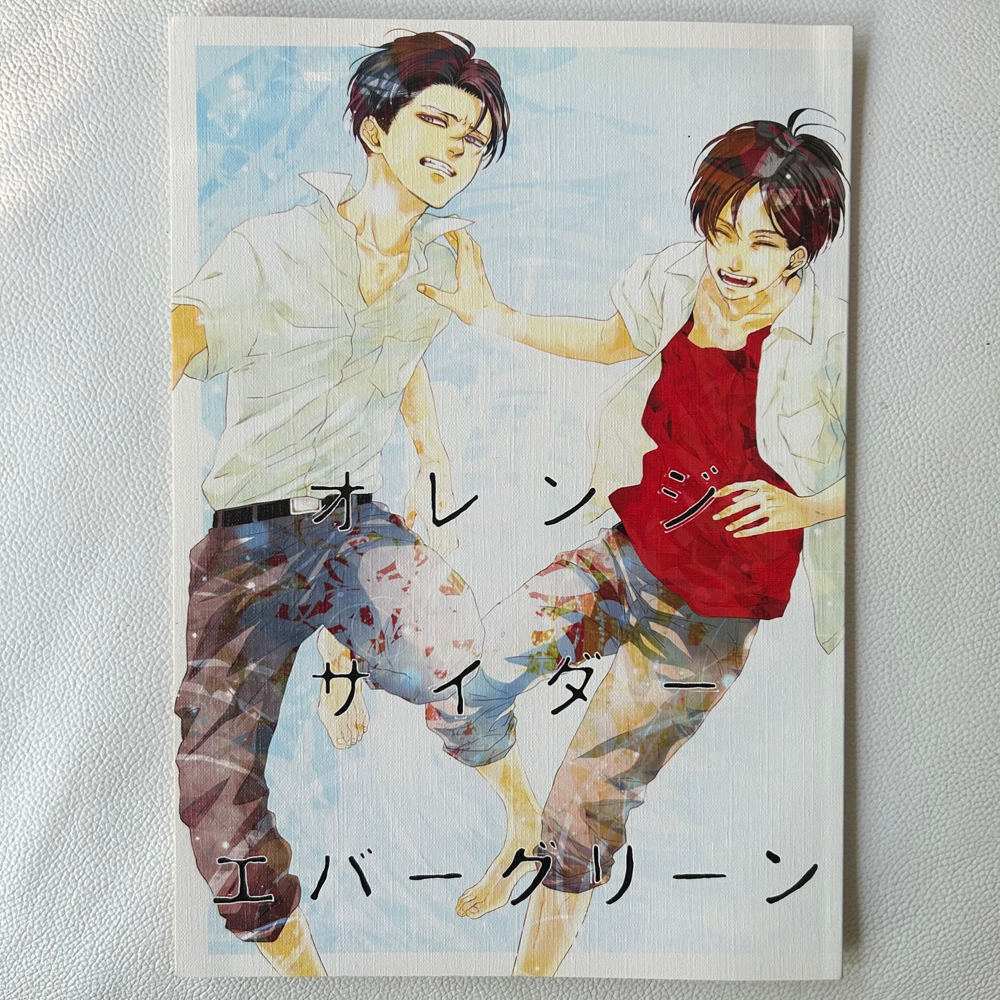 Attack on Titan Levi x Eren Doujinshi