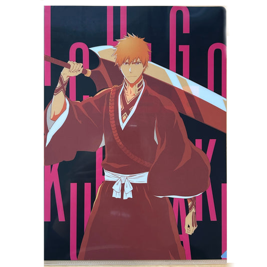 Bleach Ichigo Kurosaki Clear File