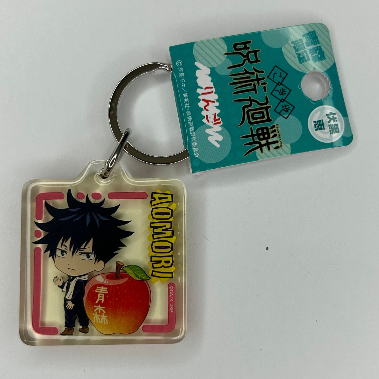 Jujutsu Kaisen Megumi Fushiguru Acryl Anhänger